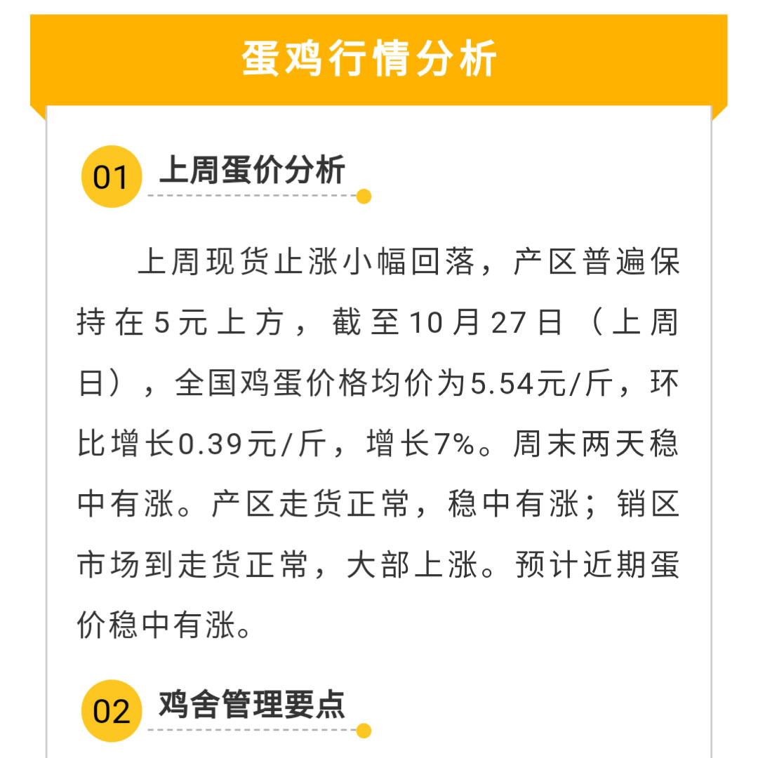 澳门十大电子游戏入口网站