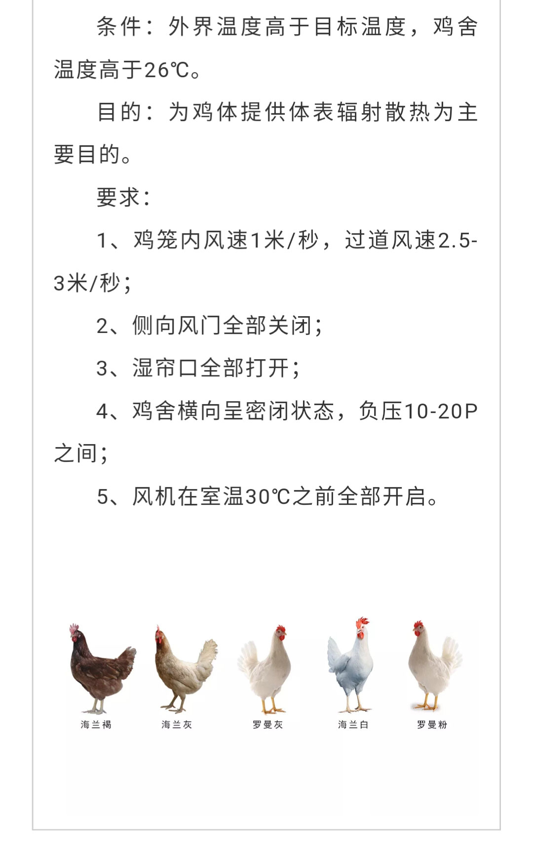 澳门十大电子游戏入口网站