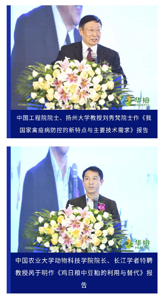 澳门十大电子游戏入口网站