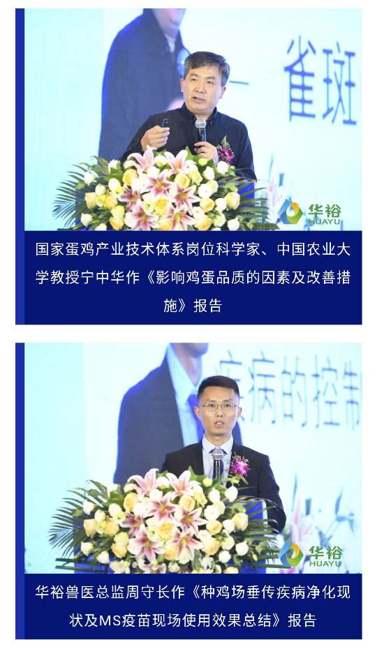 澳门十大电子游戏入口网站