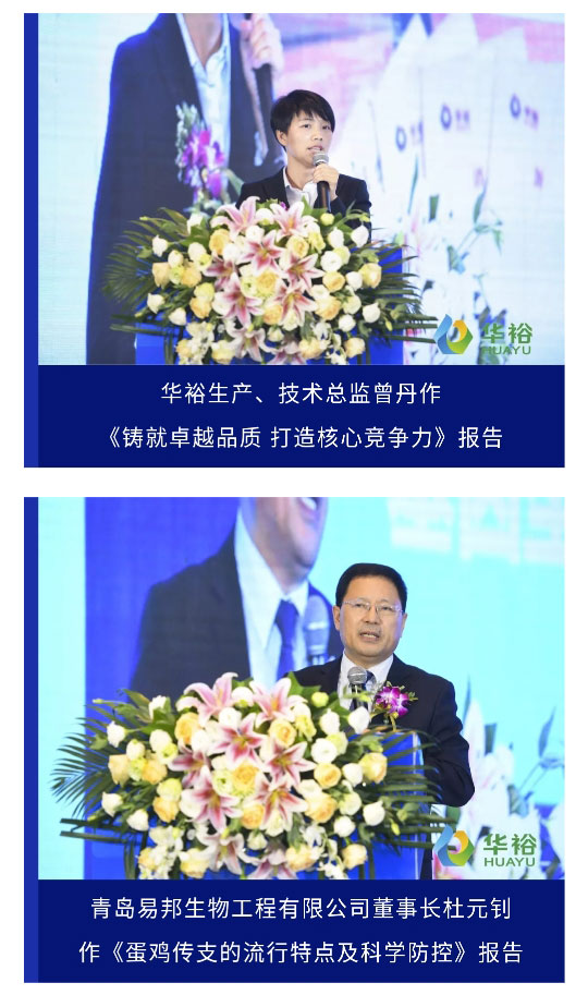 澳门十大电子游戏入口网站