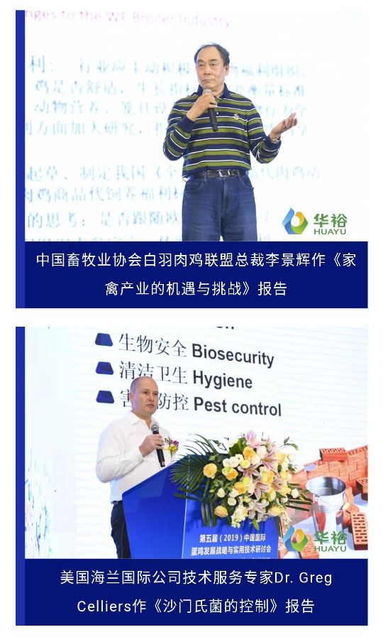 澳门十大电子游戏入口网站