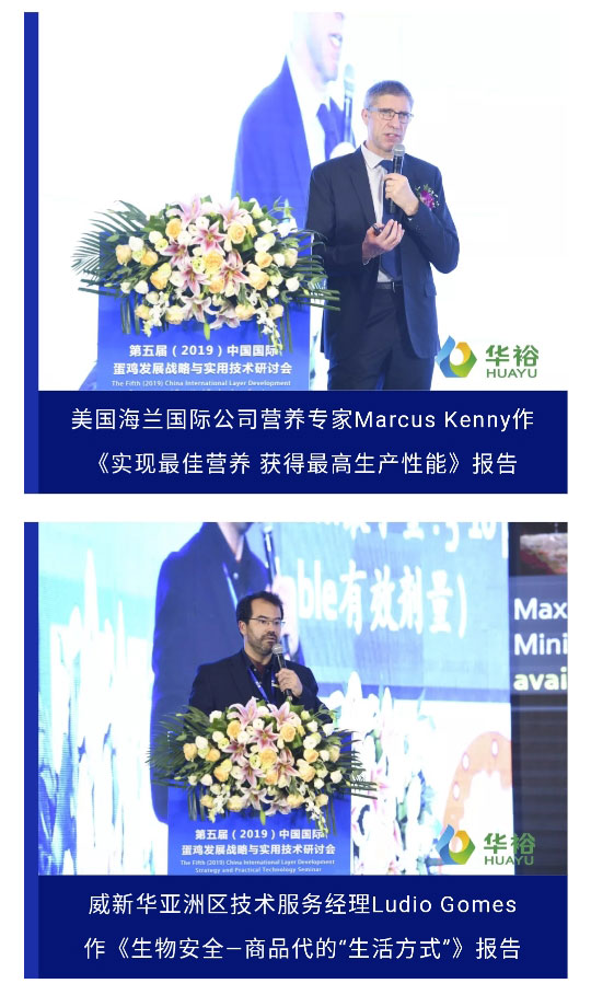 澳门十大电子游戏入口网站