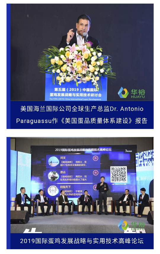 澳门十大电子游戏入口网站