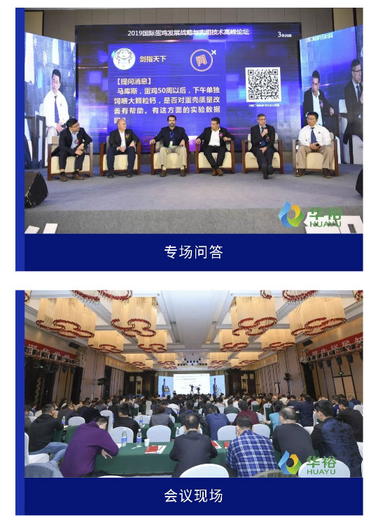 澳门十大电子游戏入口网站