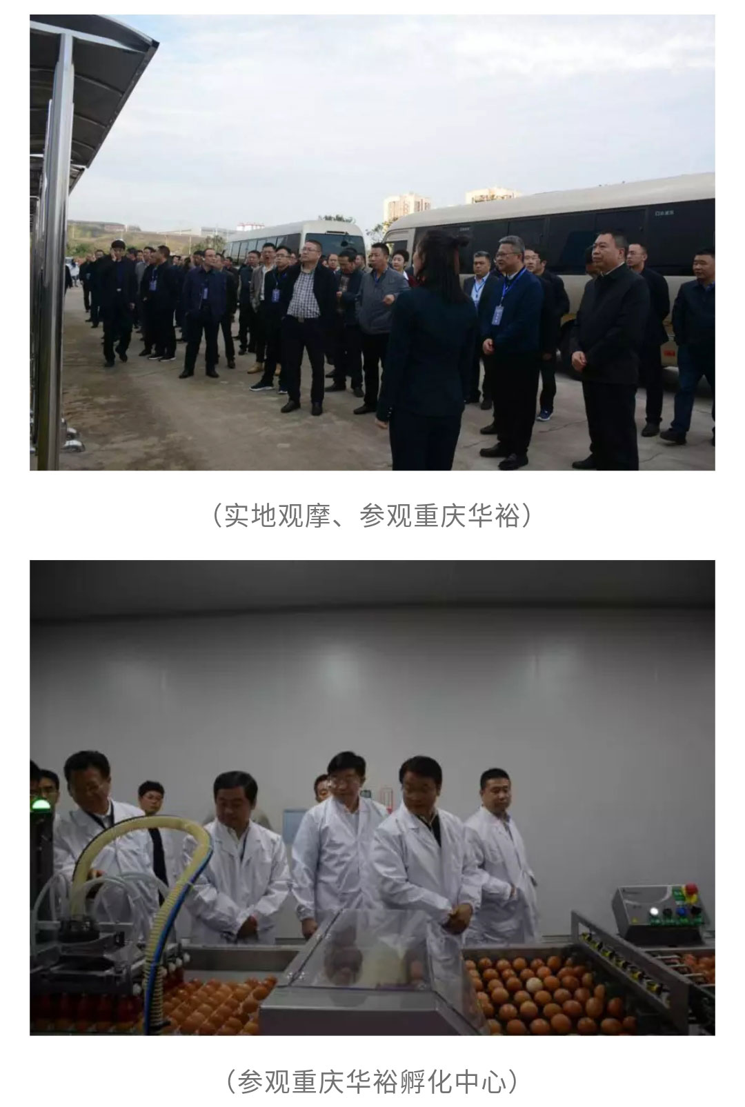 澳门十大电子游戏入口网站