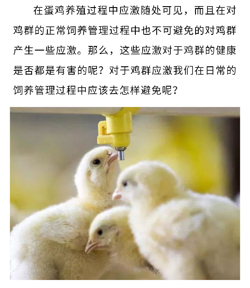 澳门十大电子游戏入口网站