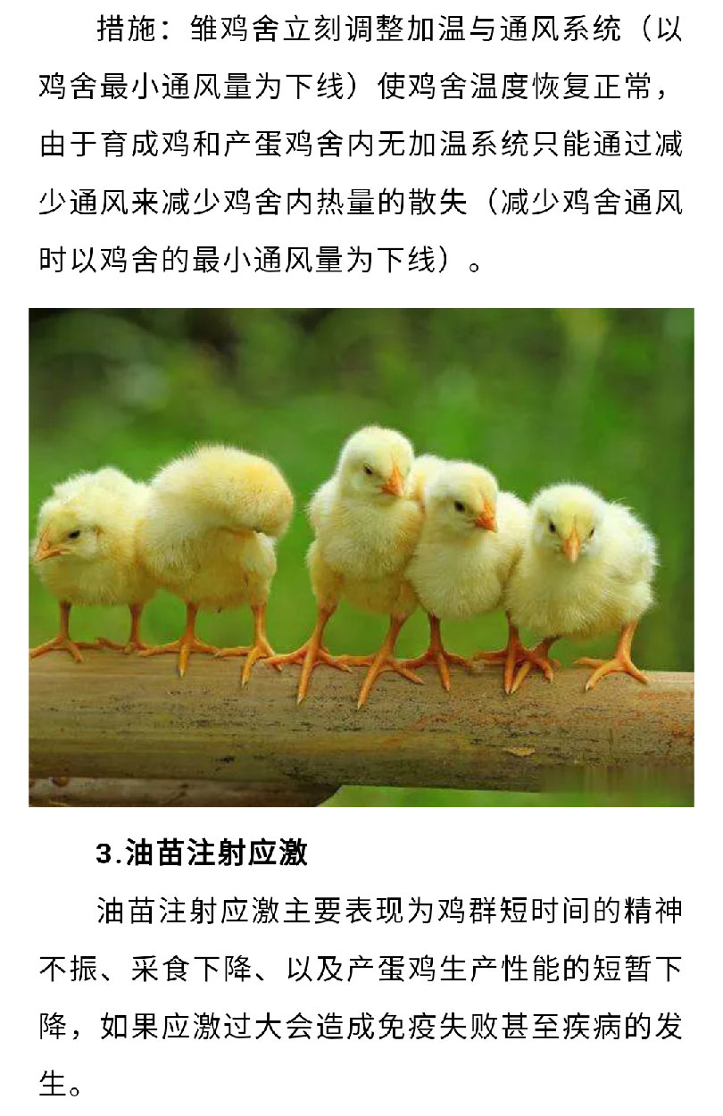 澳门十大电子游戏入口网站