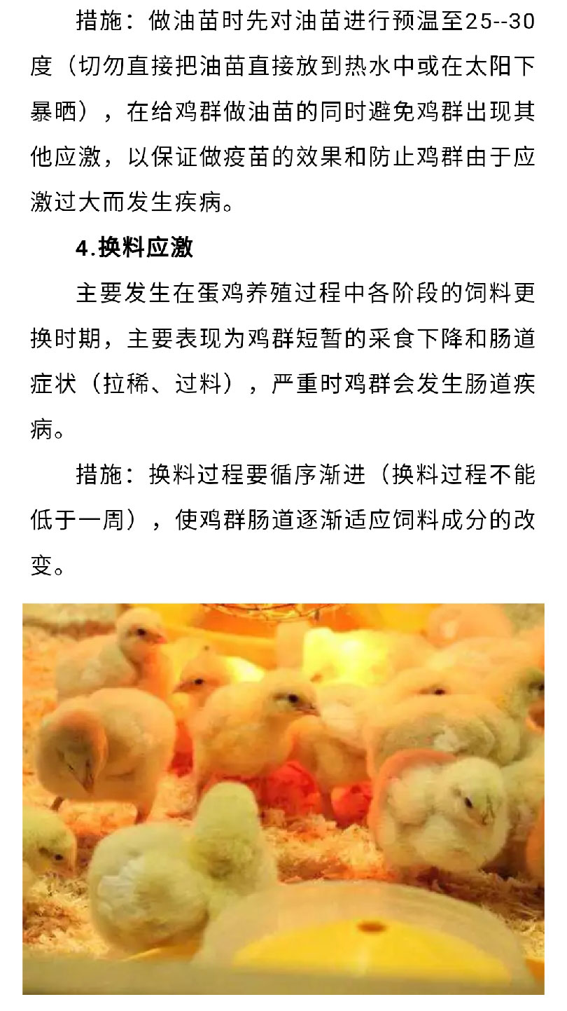 澳门十大电子游戏入口网站