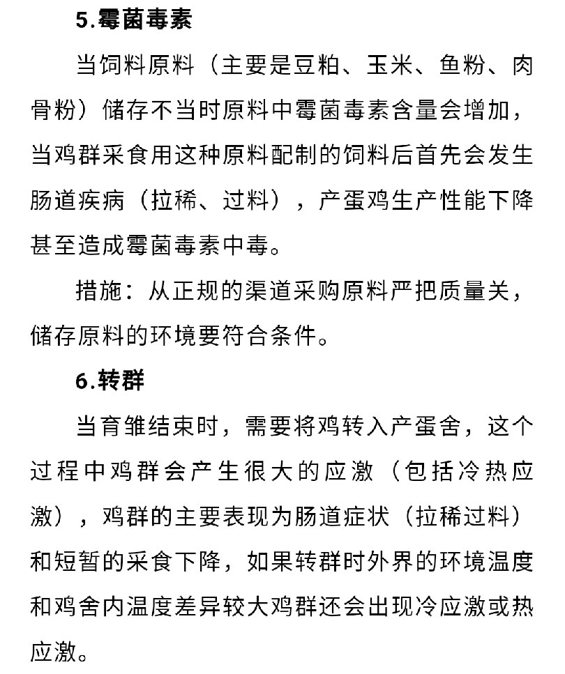 澳门十大电子游戏入口网站