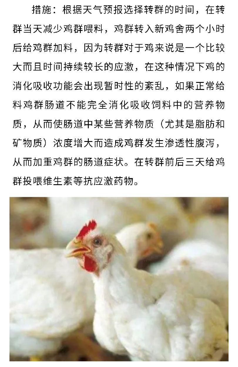 澳门十大电子游戏入口网站