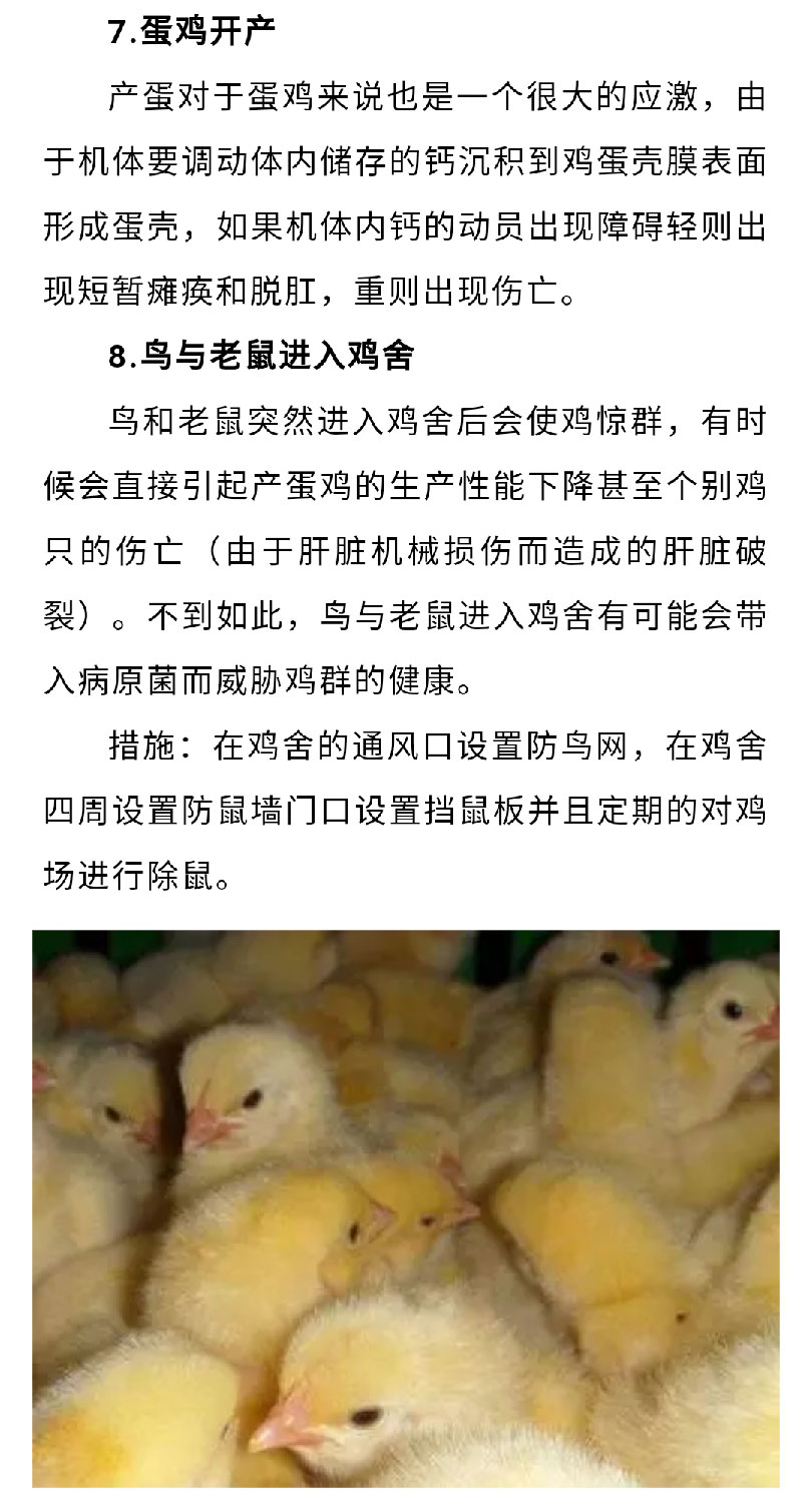 澳门十大电子游戏入口网站