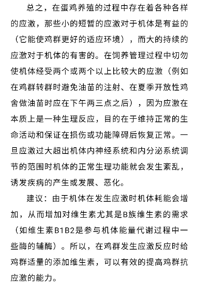 澳门十大电子游戏入口网站