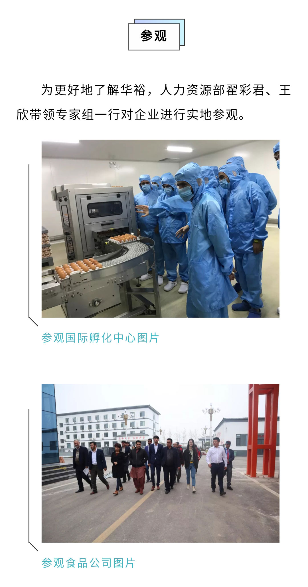 澳门十大电子游戏入口网站