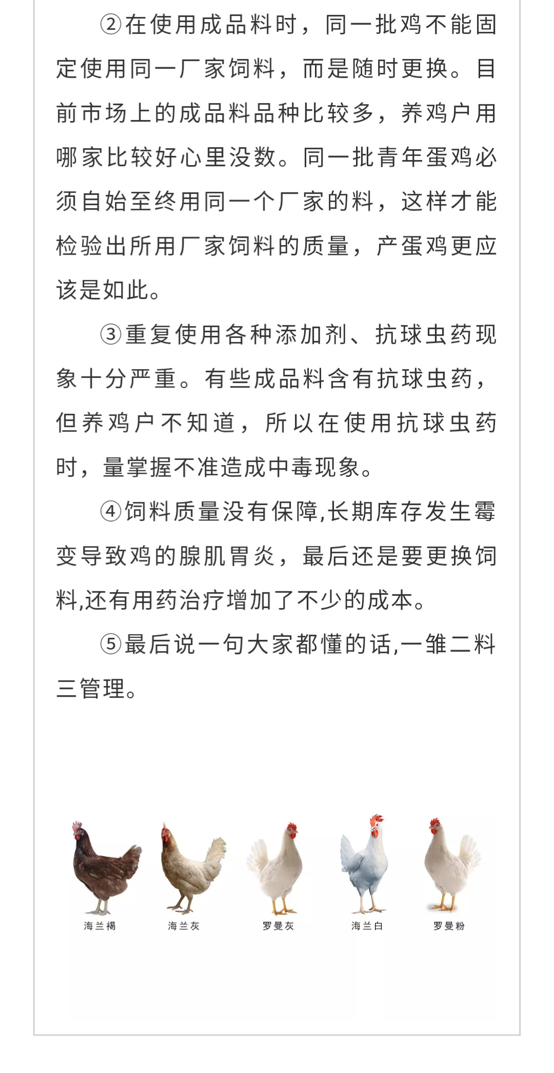 澳门十大电子游戏入口网站