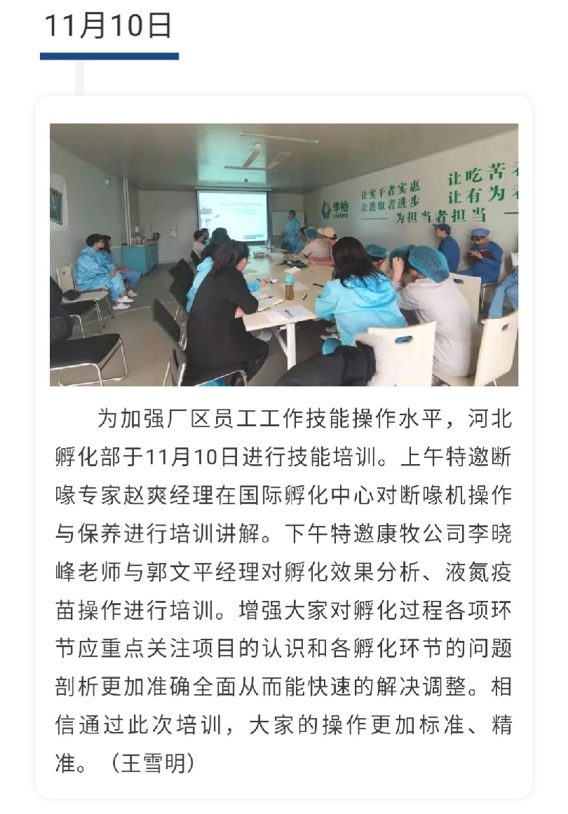 澳门十大电子游戏入口网站