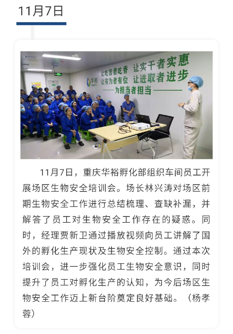 澳门十大电子游戏入口网站