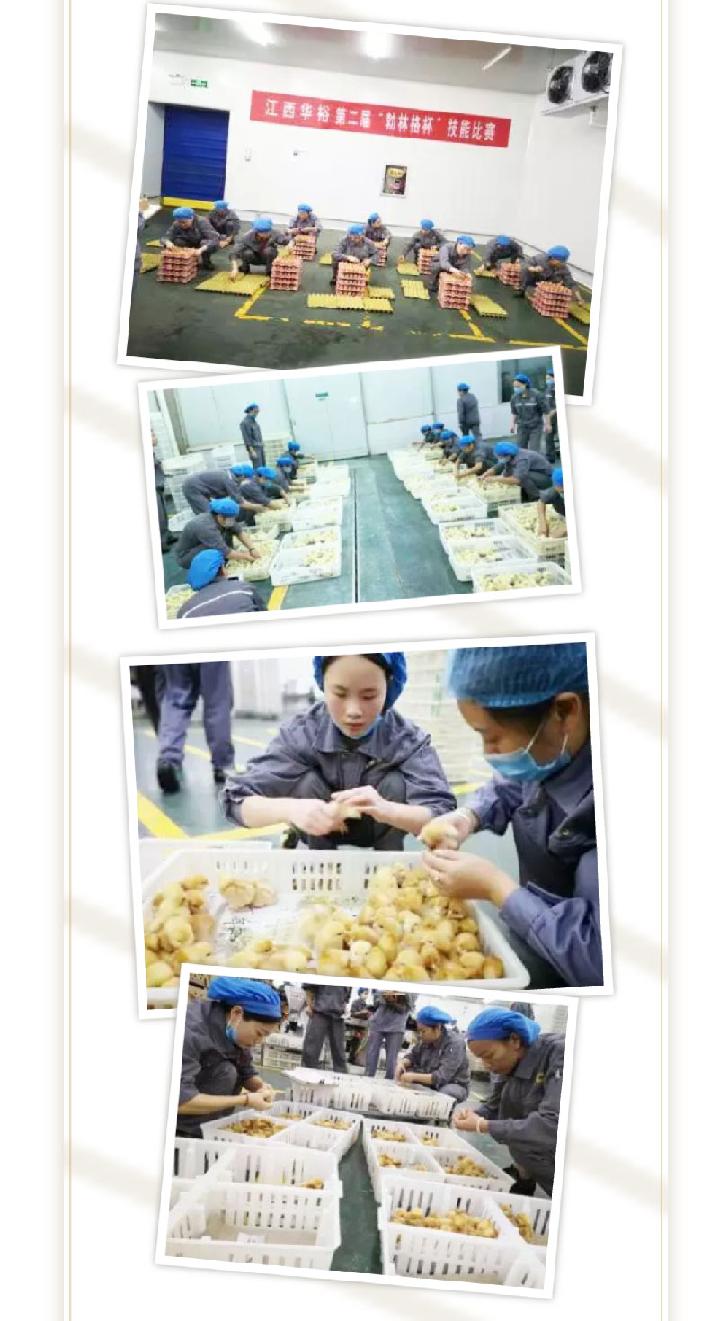 澳门十大电子游戏入口网站