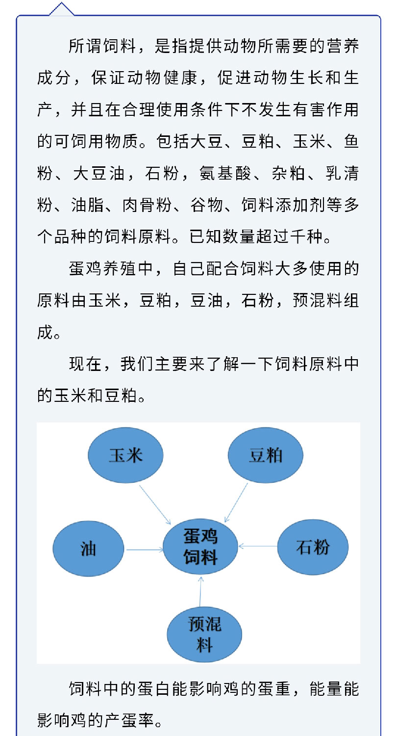澳门十大电子游戏入口网站