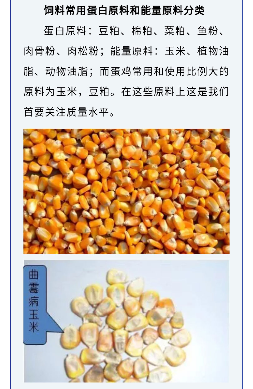 澳门十大电子游戏入口网站