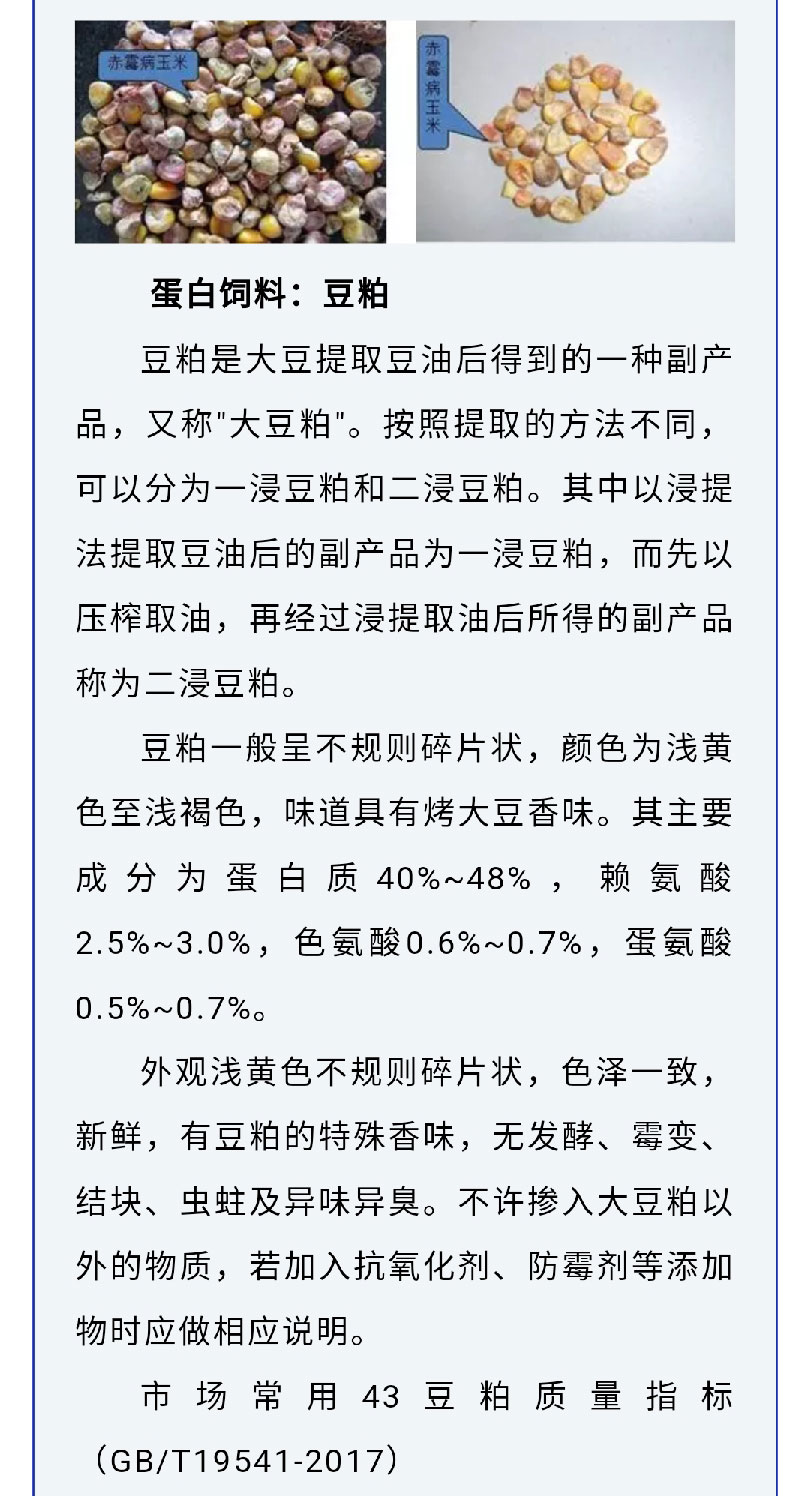 澳门十大电子游戏入口网站