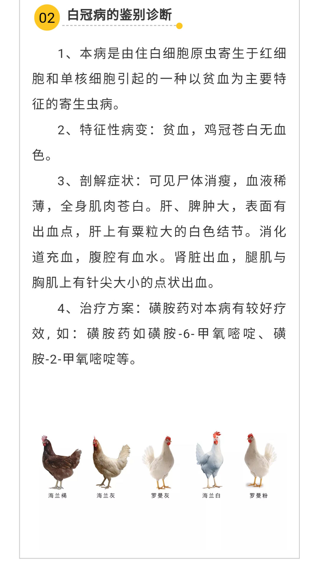 澳门十大电子游戏入口网站