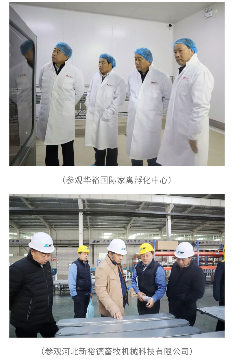 澳门十大电子游戏入口网站