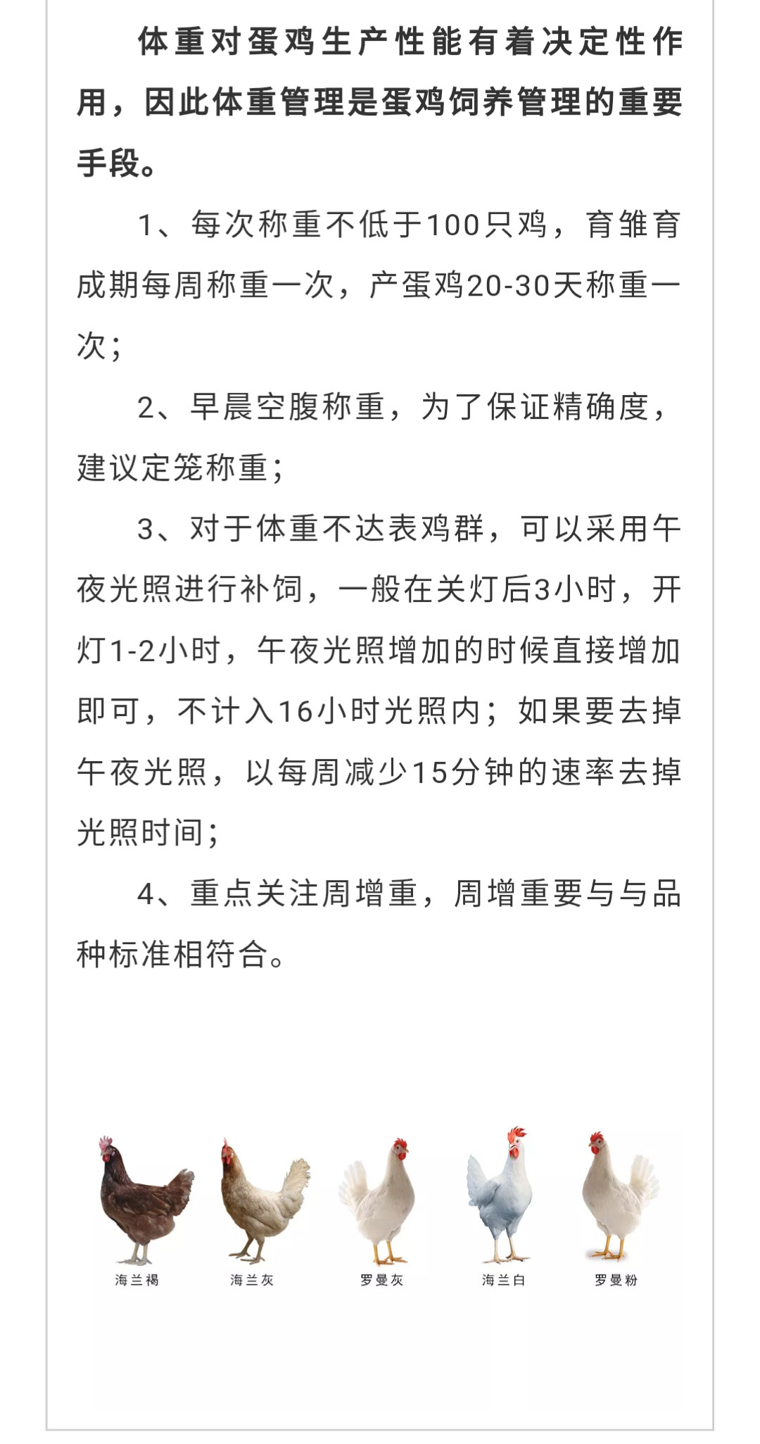 澳门十大电子游戏入口网站