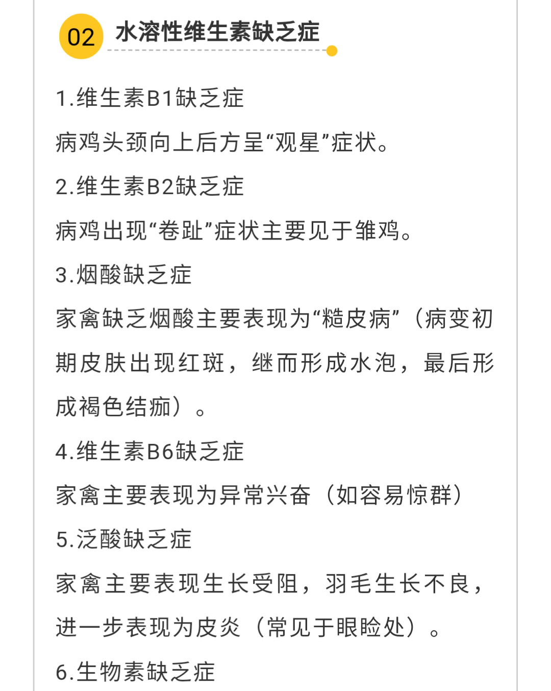 澳门十大电子游戏入口网站