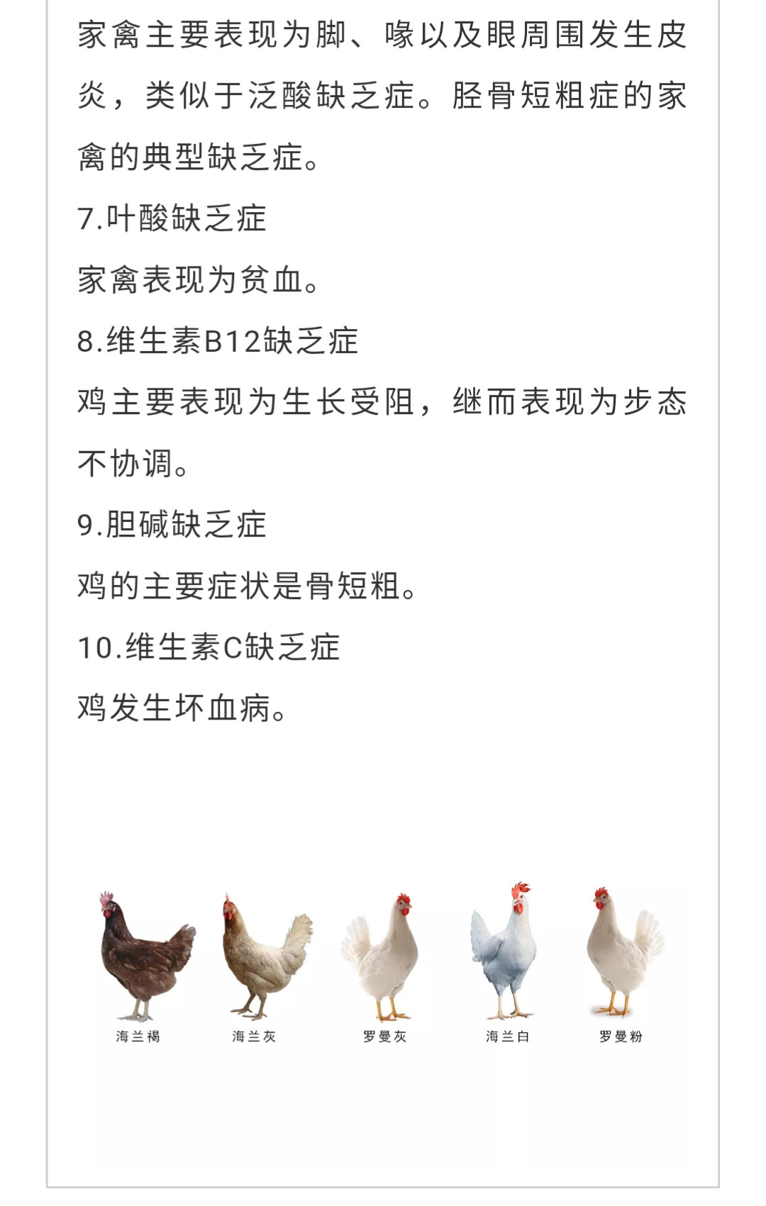 澳门十大电子游戏入口网站