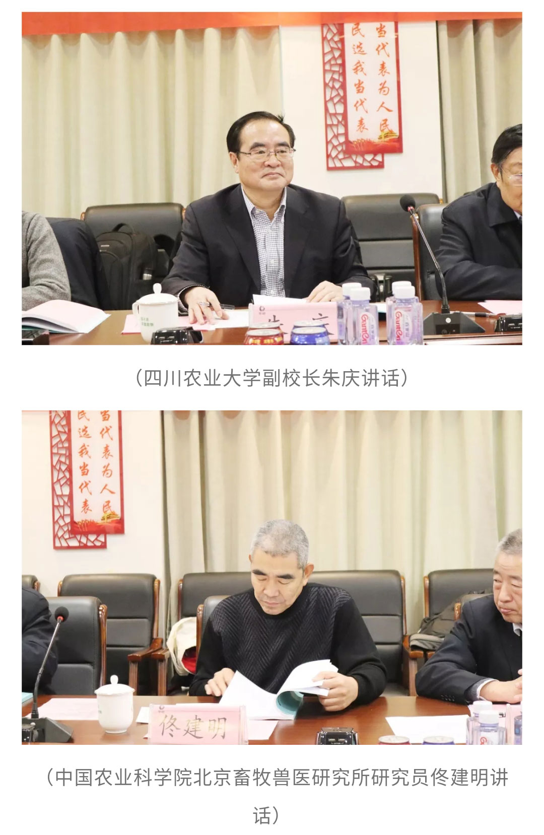 澳门十大电子游戏入口网站