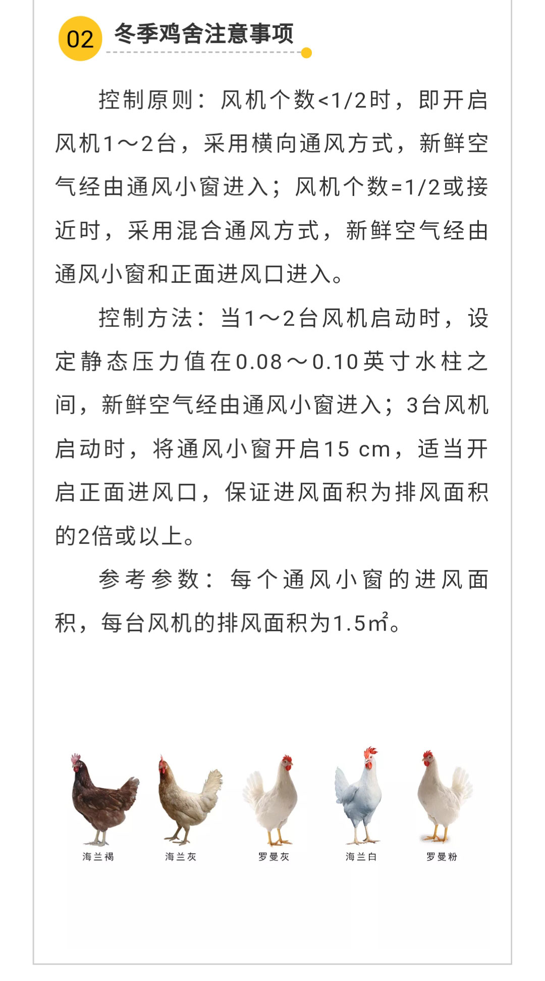 澳门十大电子游戏入口网站