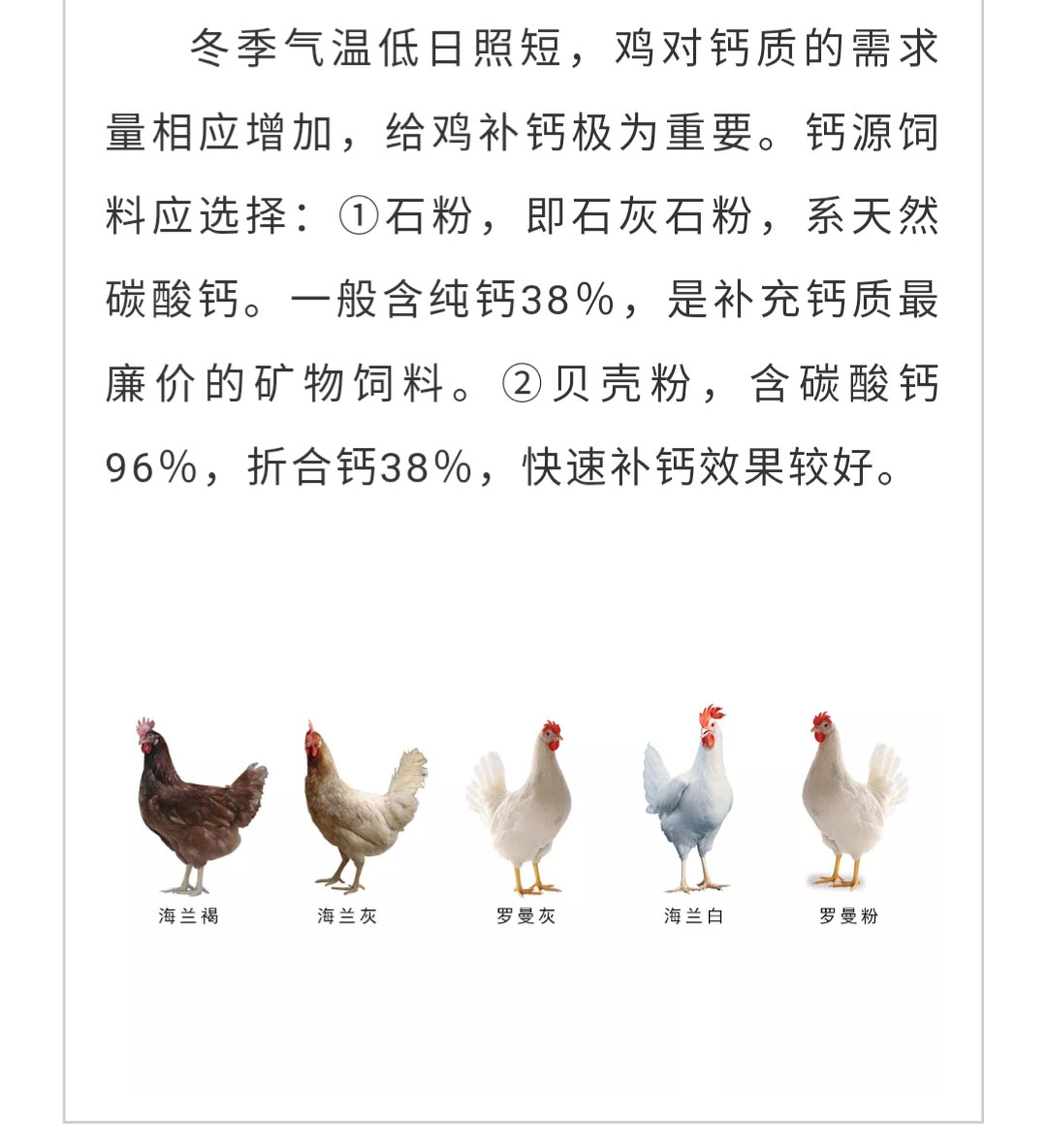 澳门十大电子游戏入口网站