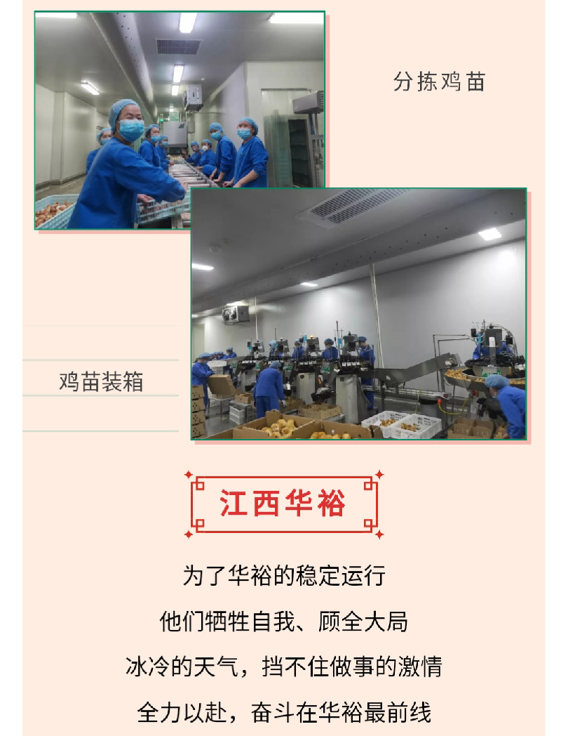 澳门十大电子游戏入口网站