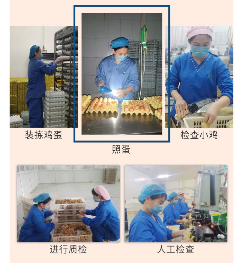 澳门十大电子游戏入口网站