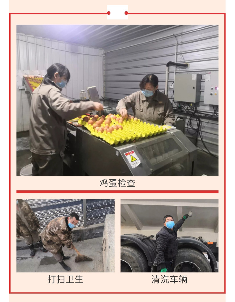 澳门十大电子游戏入口网站