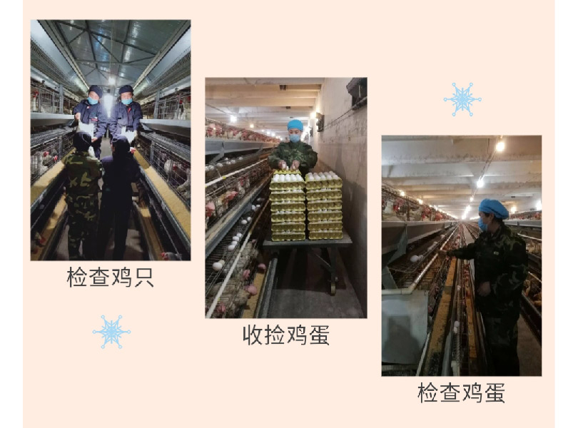 澳门十大电子游戏入口网站