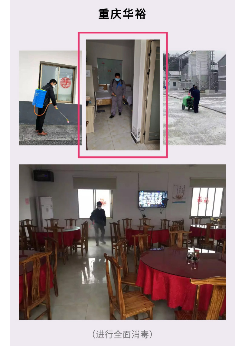 澳门十大电子游戏入口网站