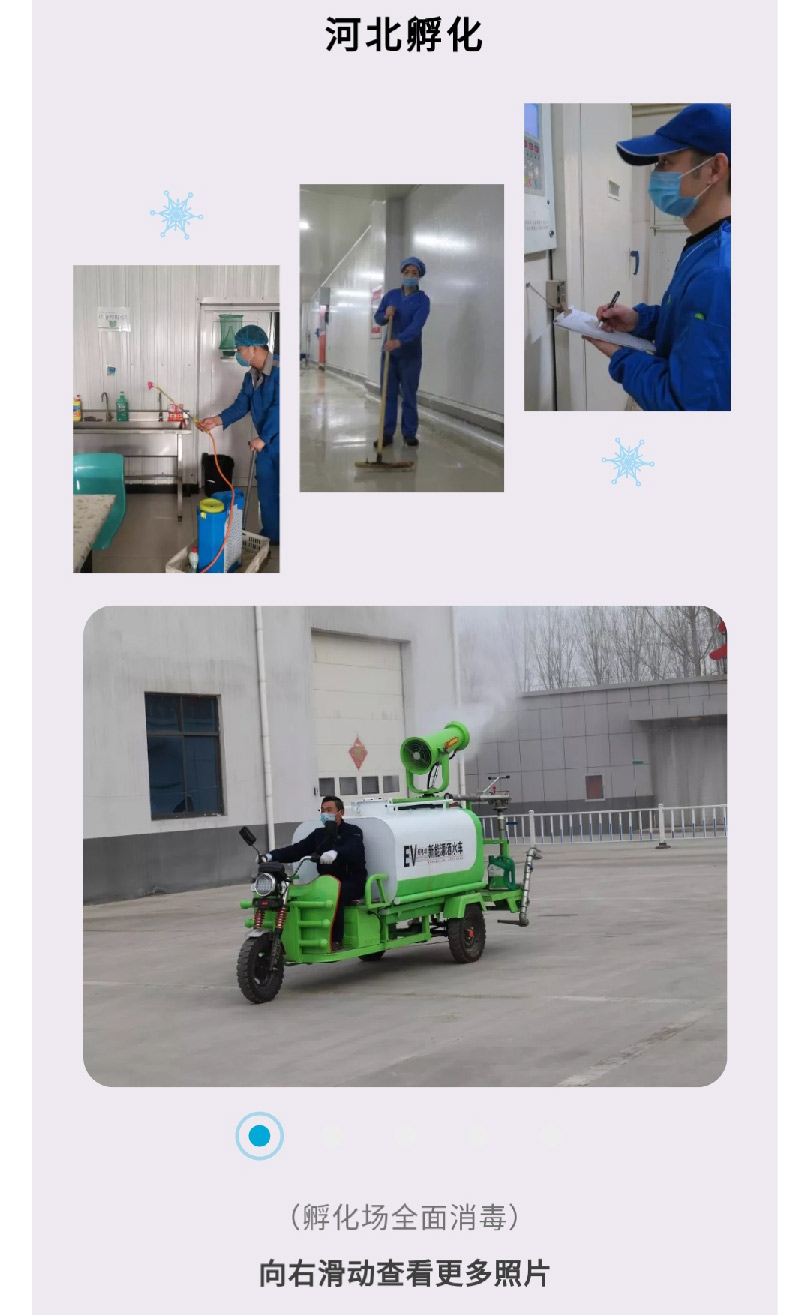 澳门十大电子游戏入口网站