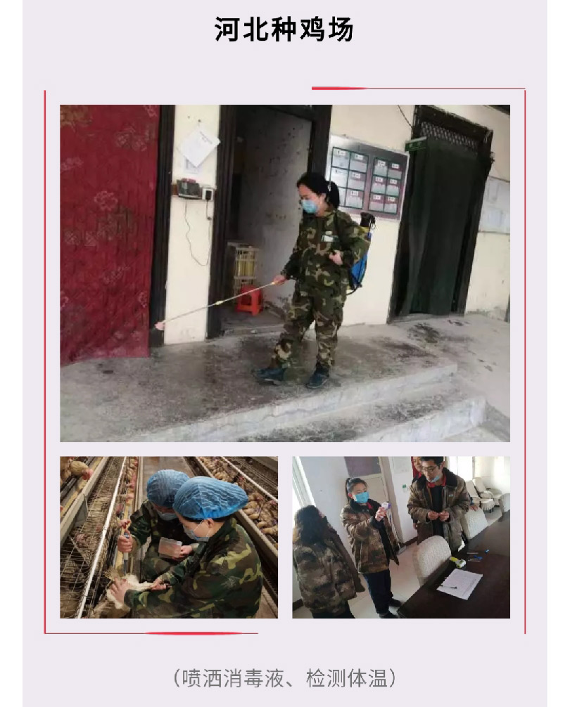 澳门十大电子游戏入口网站