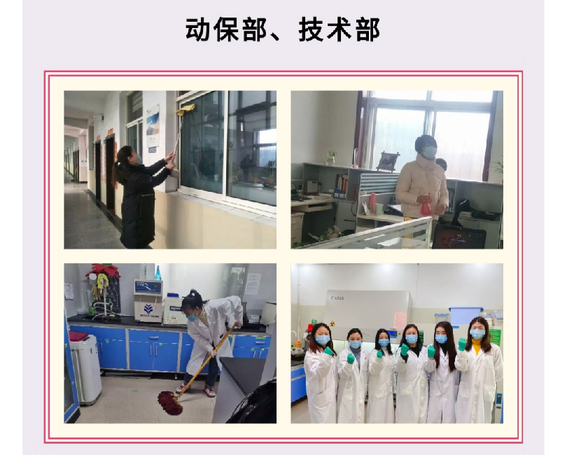 澳门十大电子游戏入口网站