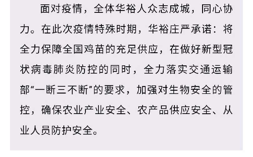 澳门十大电子游戏入口网站
