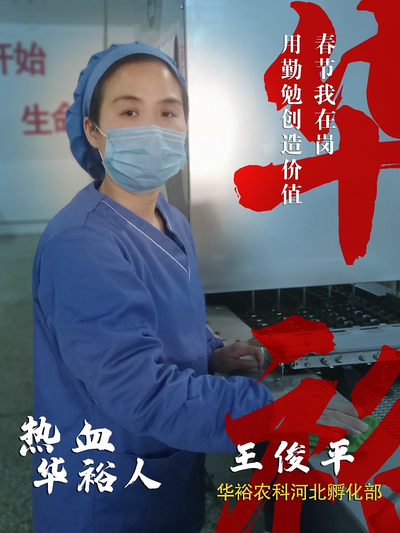 澳门十大电子游戏入口网站