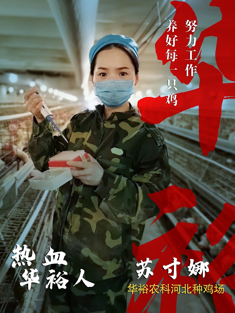 澳门十大电子游戏入口网站