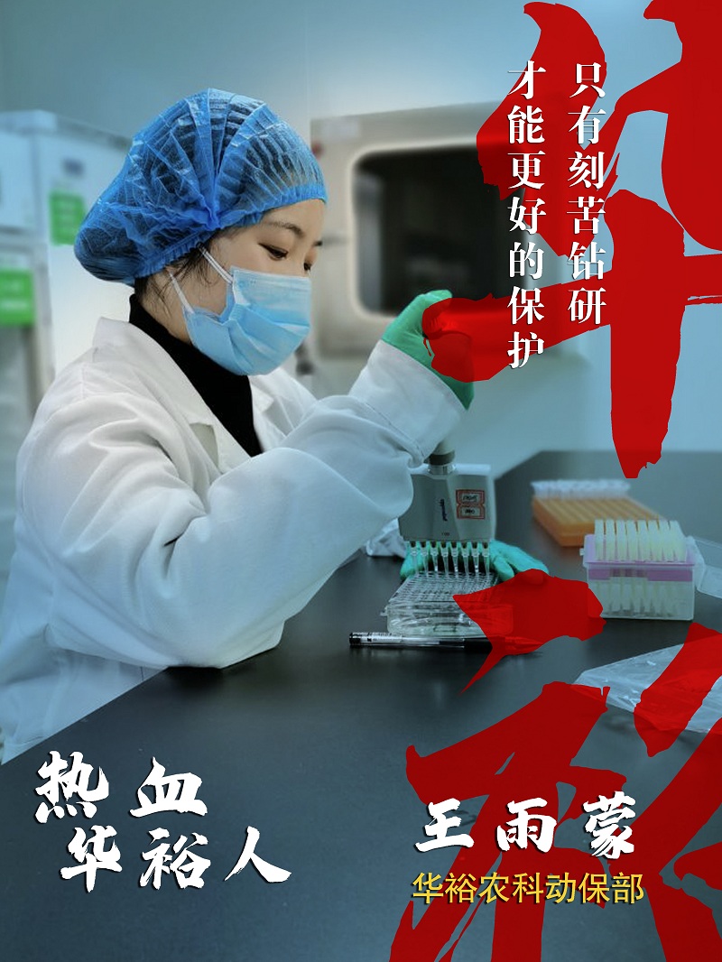 澳门十大电子游戏入口网站