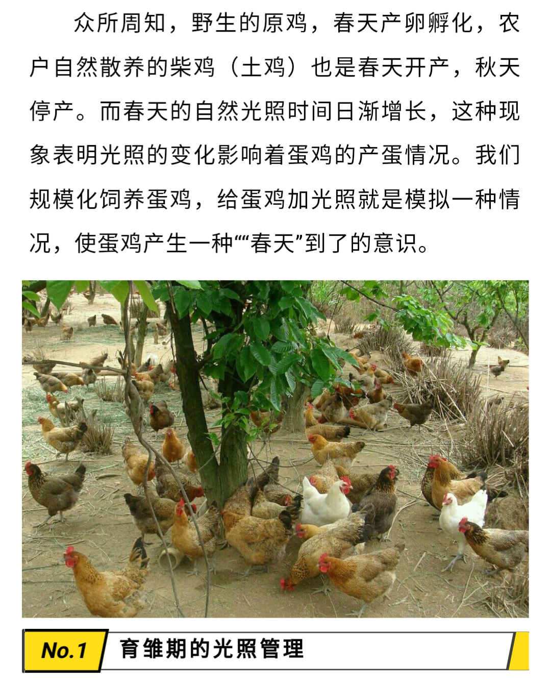 澳门十大电子游戏入口网站