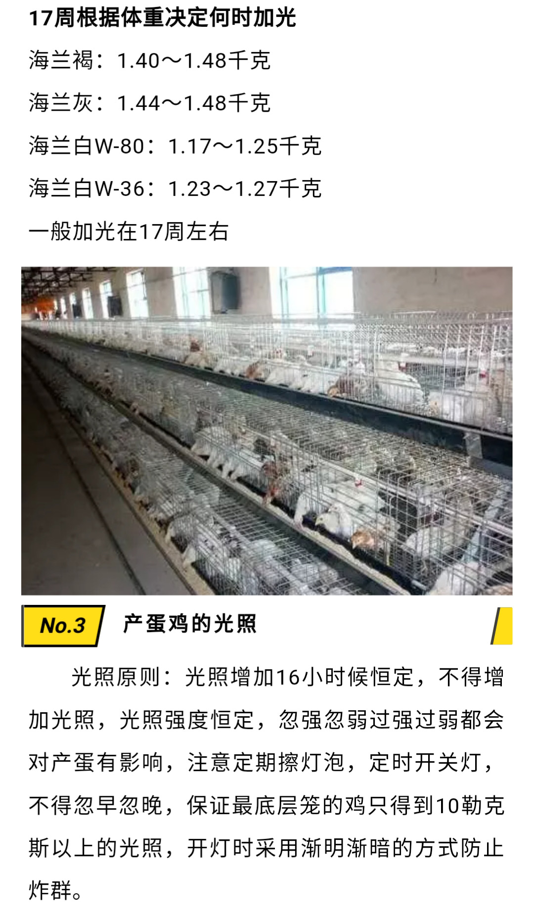 澳门十大电子游戏入口网站