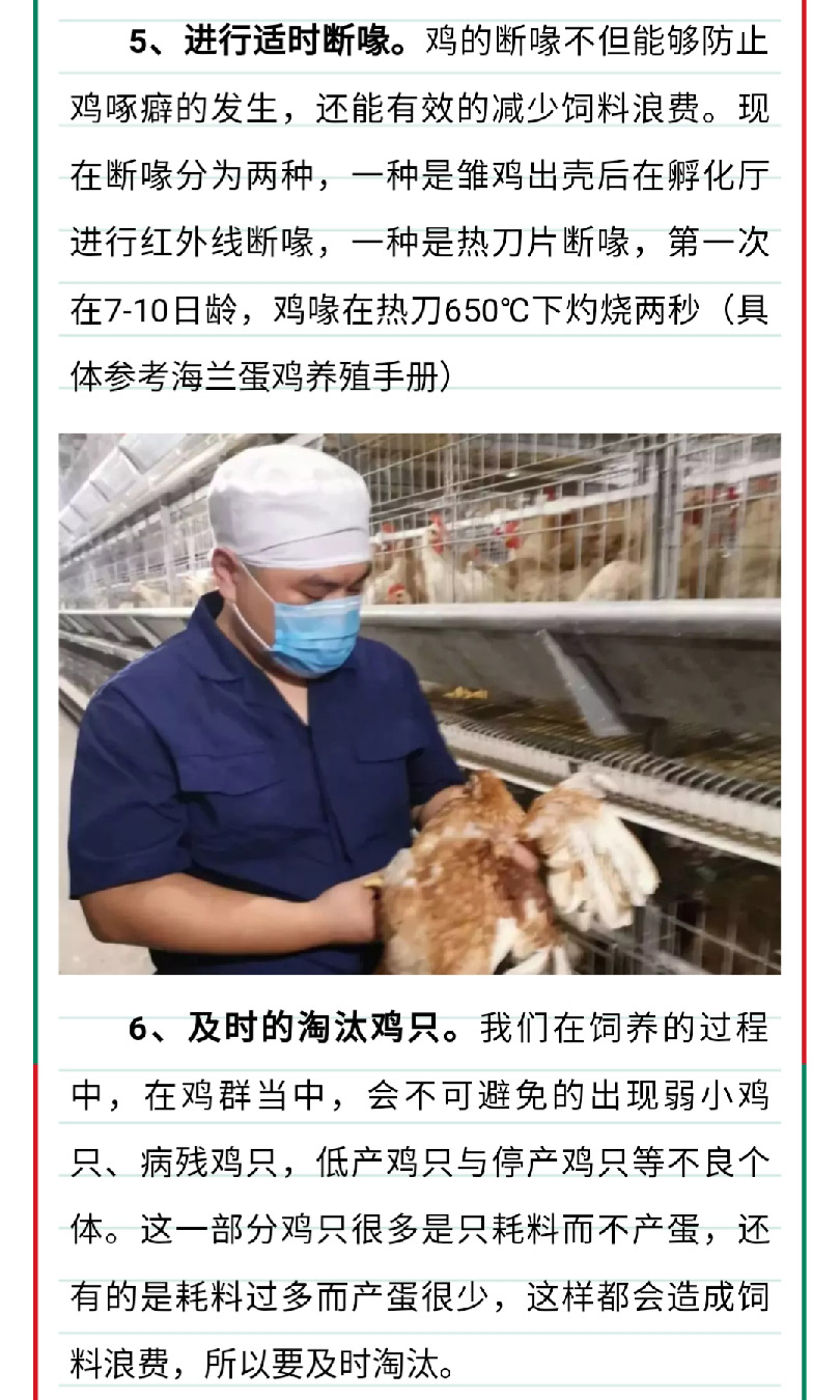 澳门十大电子游戏入口网站