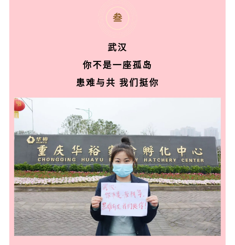 澳门十大电子游戏入口网站