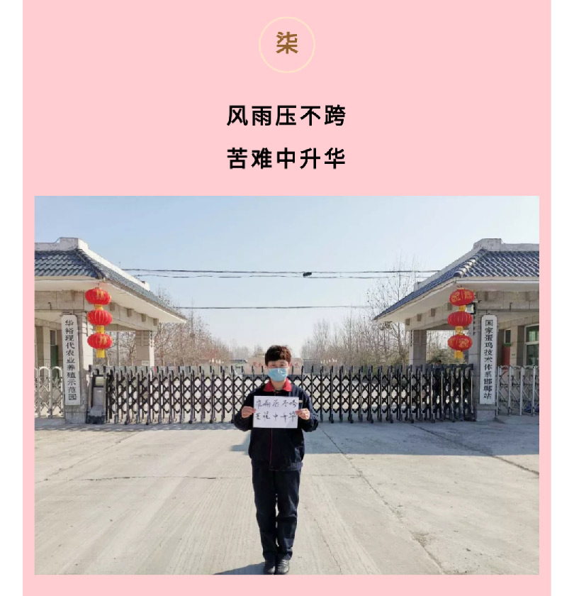 澳门十大电子游戏入口网站